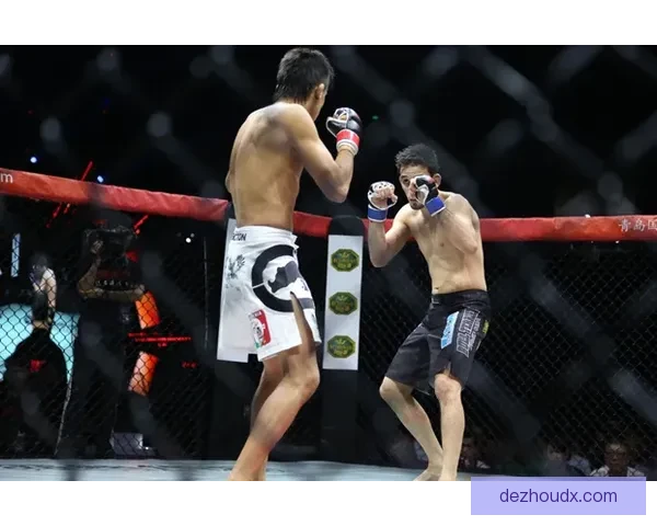 波利斯与哥顿比夫鏖战平局比赛精彩瞬间回顾 波利斯与哥顿比夫鏖战平局比赛精彩瞬间回顾